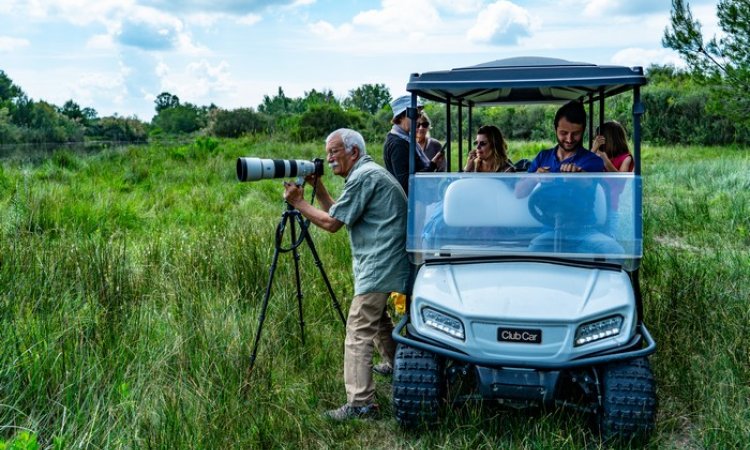 Safari : à la découverte de la faune et de la fore en voiture électrique
